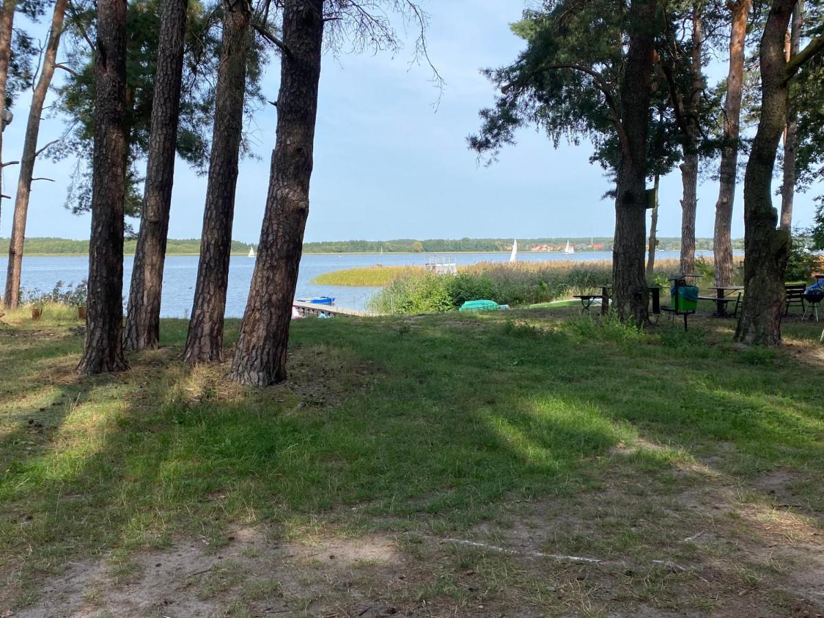 Apartament Wiewiorka Radzyń Εξωτερικό φωτογραφία